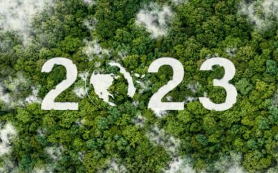 Zero Carbon: 5 Energy and Climate Trends Worth Watching