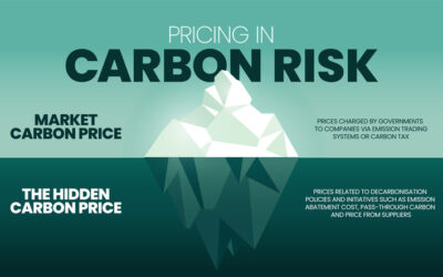 Mine Power: Assessing and Mitigating Carbon Risk
