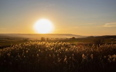 Zero Carbon: Solar Power Will Change the World